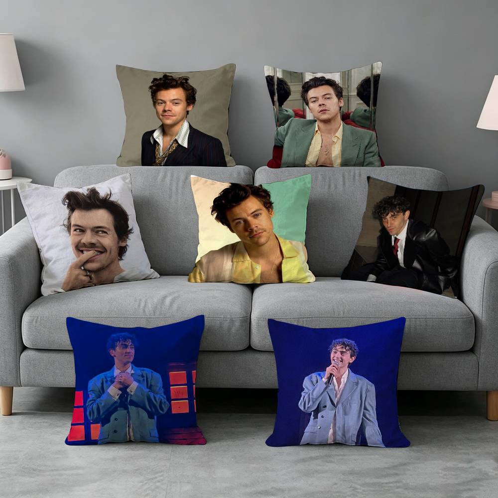 Michele B-Bravi Freddo-o Pillo - огляд і ціна Home Textiles Definition